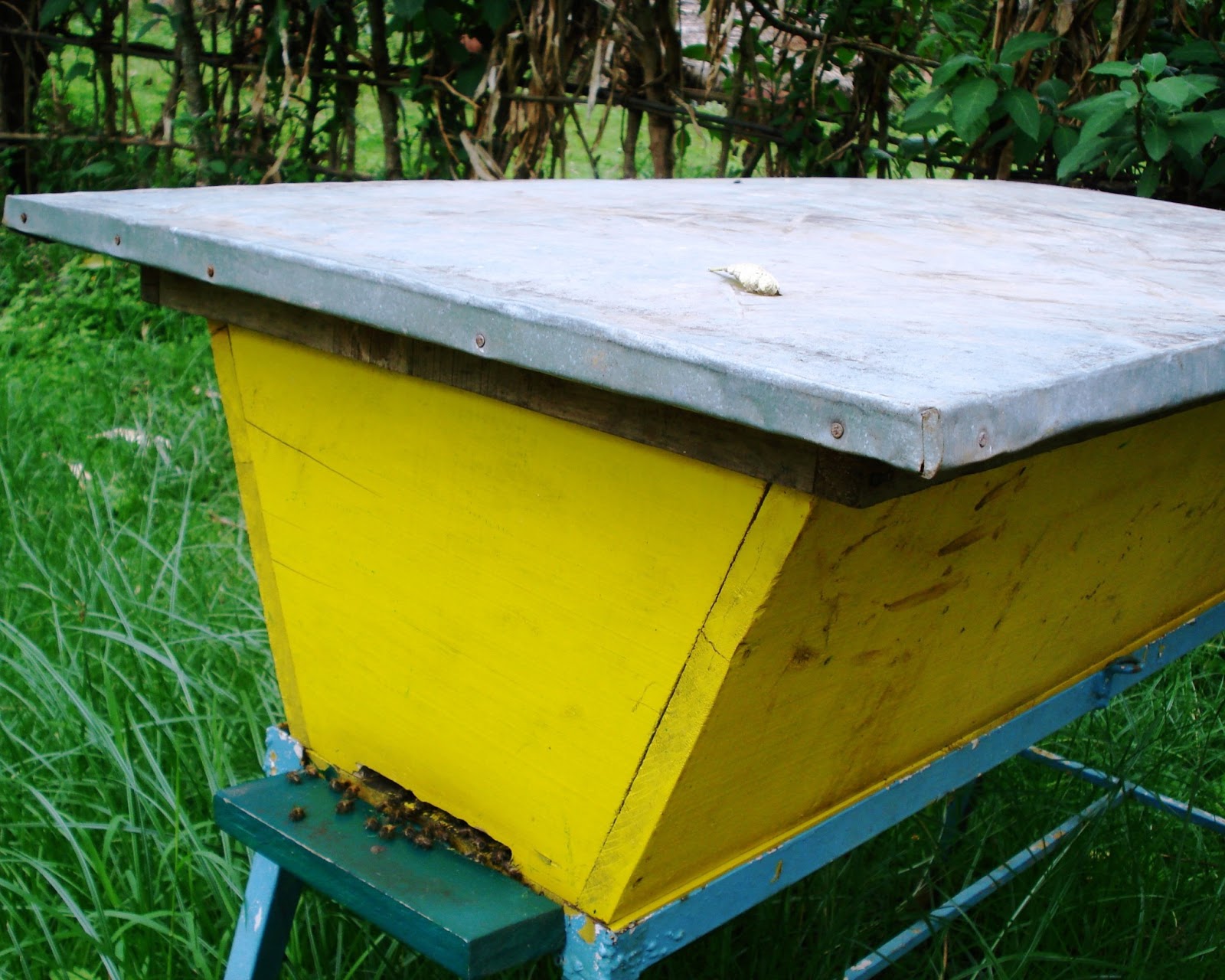 The Peace Bee Farmer: Top Bar Hives
