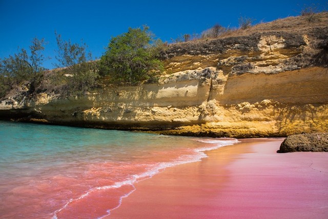 pink beach in komodo island, pink beach komodo island, komodo island pink beach, komodo beaches, komodo pink beach, pink sand beach indonesia, bali pink sand beach, komodo island indonesia pink beach, pink beach komodo indonesia, komodo beach indonesia,