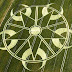 Mengungkap Misteri Crop Circle