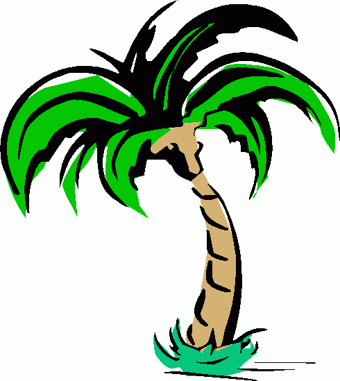 about pruning palm trees
