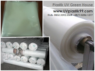 jual plastik uv surabaya,jual plastik uv yogyakarta,jual plastik uv greenhouse jakarta,jual plastik uv import,jual plastik uv kaskus,jual plastik uv lebar 6 meter,jual plastik uv medan,jual plastik uv murah,jual plastik uv purwokerto,plastik uv greenhouse,plastik uv pengeringan,plastik uv lebar 3m,plastik uv lebar 4m