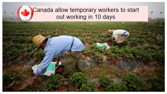 Procedure allowing temporary foreign workers find new job in Canada
