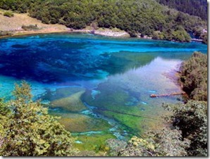 九寨沟花海