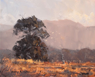 australian plein air landscape painting at sunset