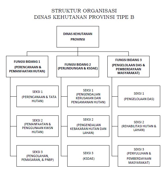 Struktur Organisasi Dinas Kehutanan Gakum Lhk