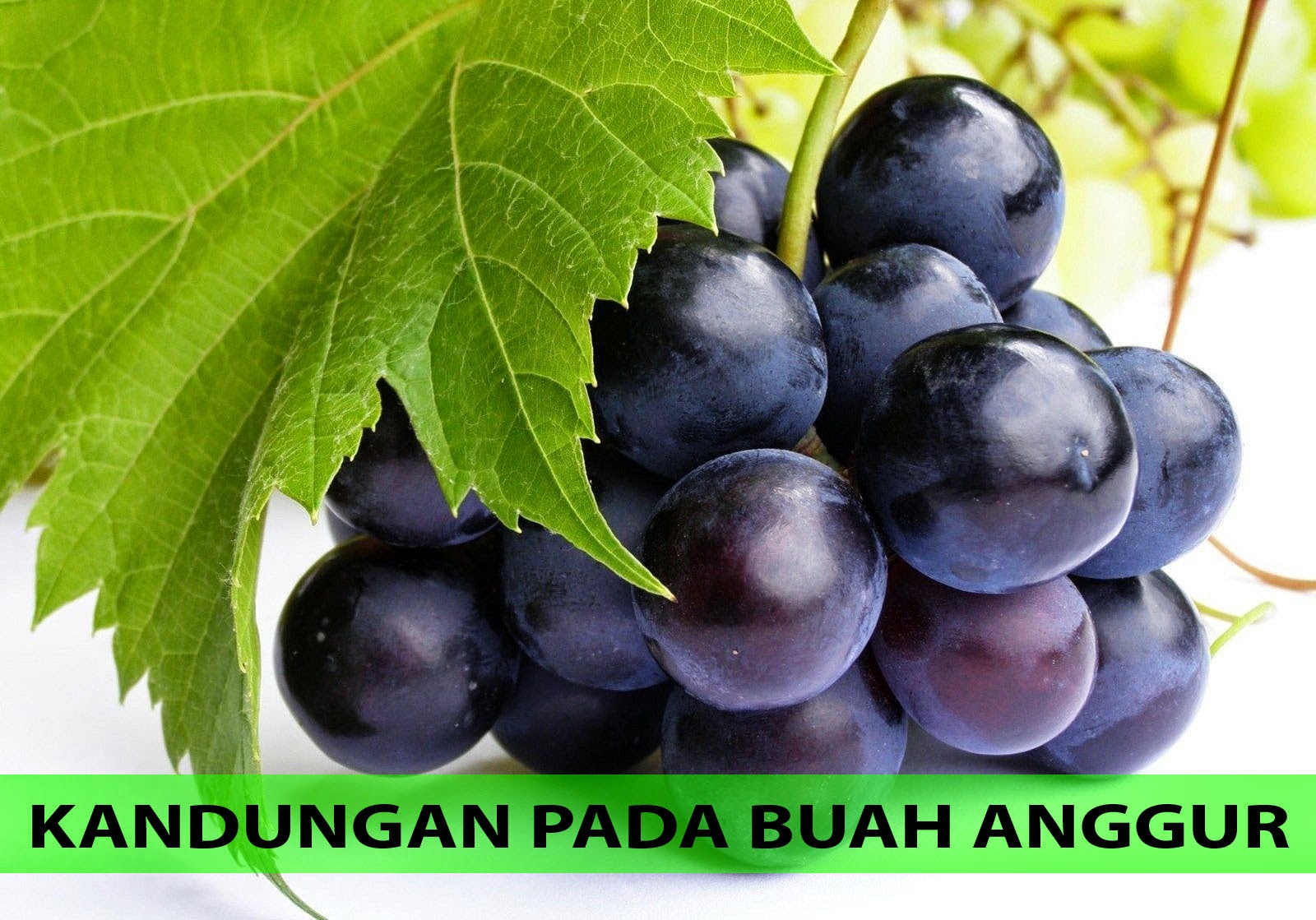 Kandungan Buah