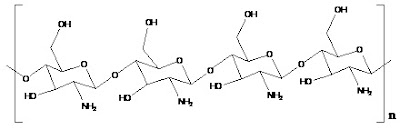 Struktur Kitin Kitosan