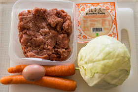 Main ingredients for dumplings: minced pork, cabbage, carrots | Svelte Salivations