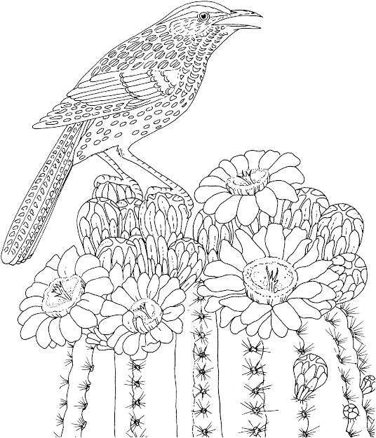  Difficult Coloring Pages For Adults