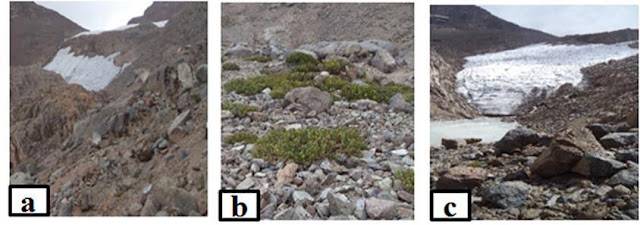 The status of Lewis Glacier of Mount Kenya and the threat to Novel microbial communities