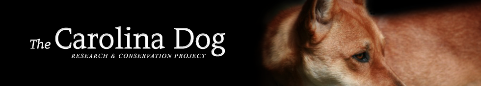 The Carolina Dog Research and Conservation Project