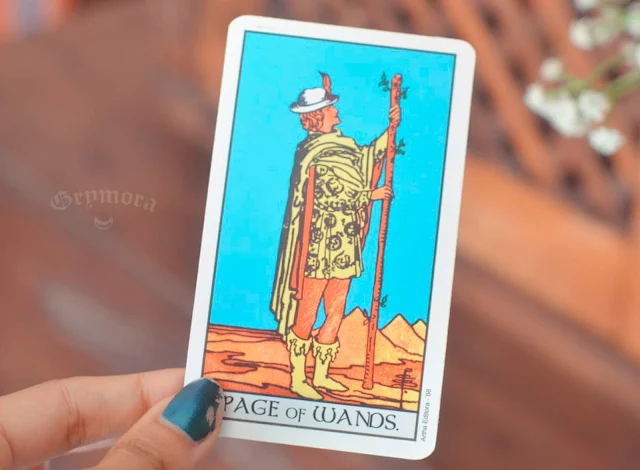 Saiba o significado da Carta Pajem / Valete de Paus no Tarot do amor, dinheiro e trabalho, na saúde, como obstáculo ou invertida e como conselho.