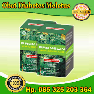 obat diabetes,obat kencing manis,obat herbal kesehatan,kecing manis,diabetes meletus