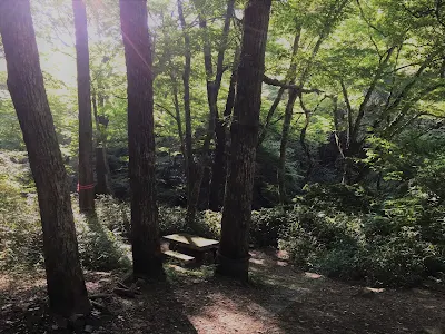 茨城県小滝沢キャンプ場