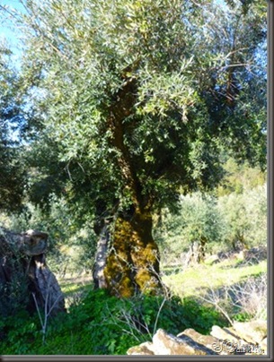 clip_image062