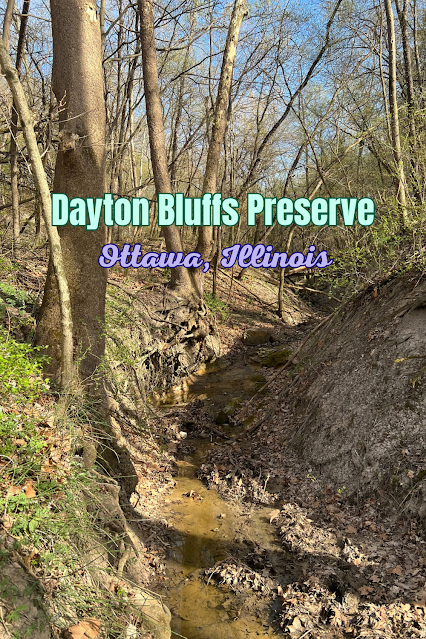 Ravine Hiking and Spectacular Views at Dayton Bluffs Preserve in Ottawa, Illinois