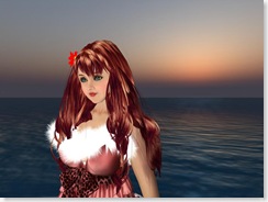 Tvd_20081116a_001