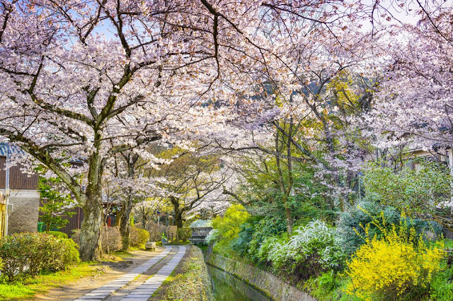 Kyoto, Japan