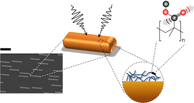 Gold Antennas : molecular bonds