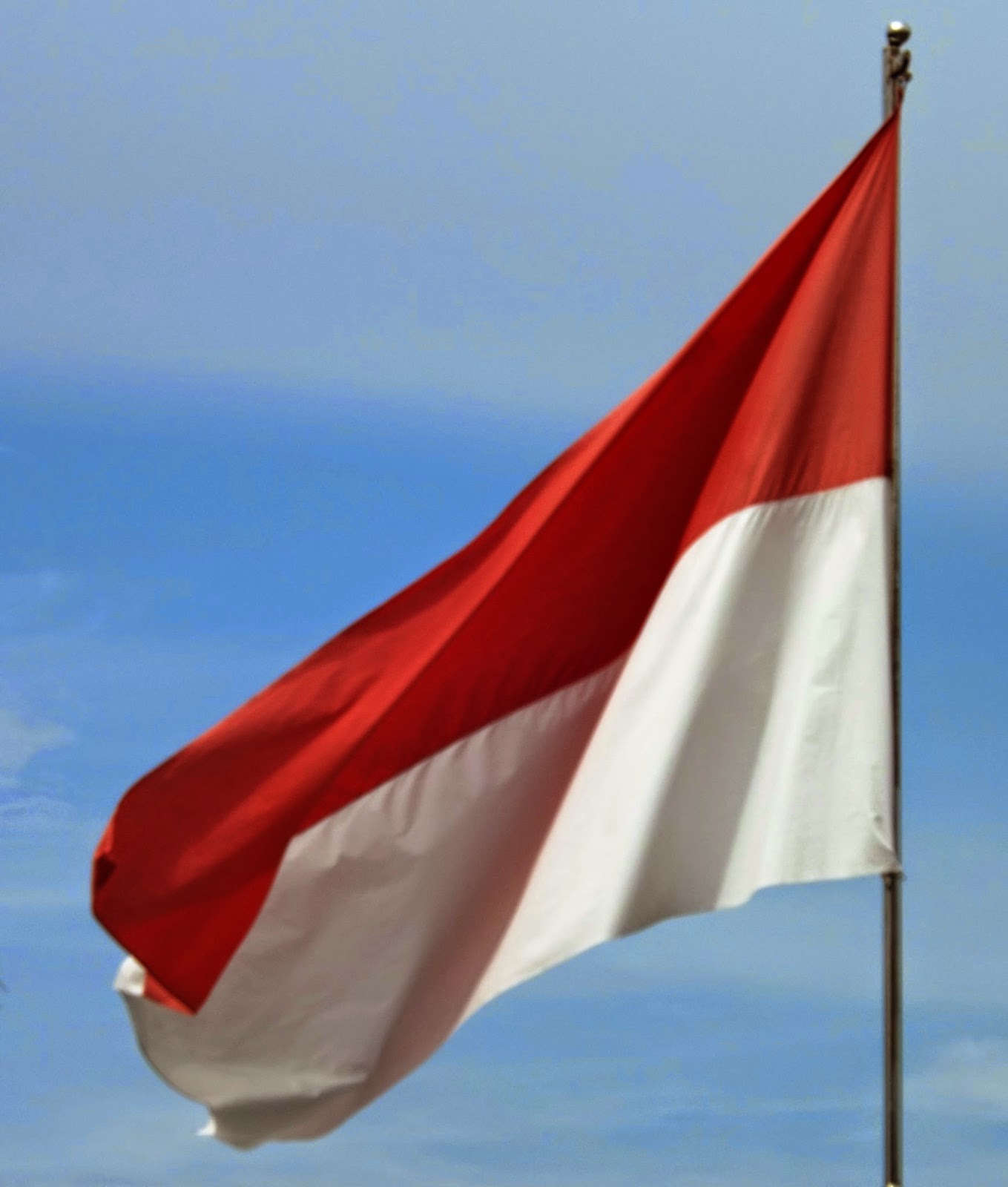 Koleksi Dp Bbm Bergerak  Bendera  Merah  Putih  Berkibar 