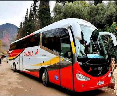 حجز الان  تذاكر حافلات الغزالة... - Ghazala Transport