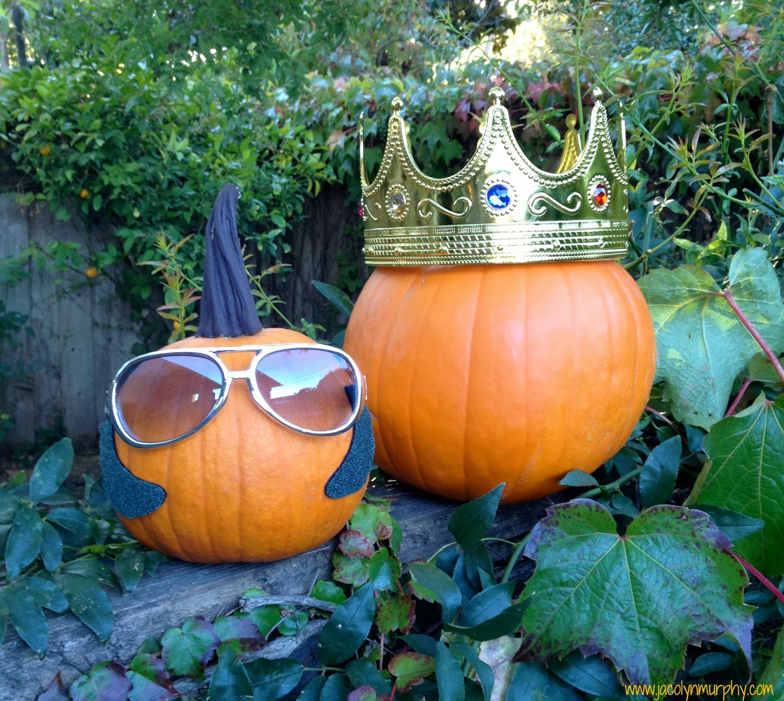 Jac o' lyn Murphy: Pumpkins are out...PumpKINGS are in- A no carve