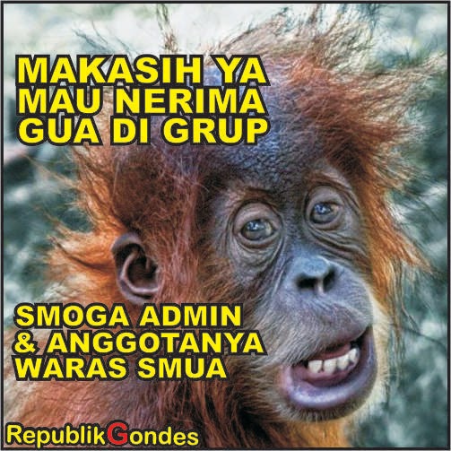 Meme Gokil Komen Status Di Grup Humor Fb