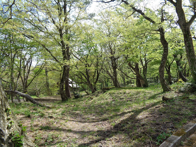 豪円山キャンプ場