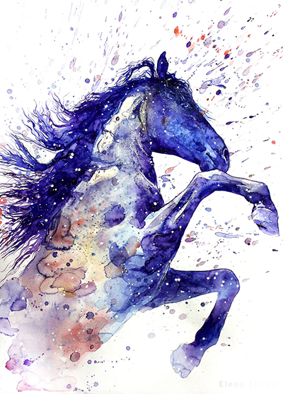 Stado Royal Horses