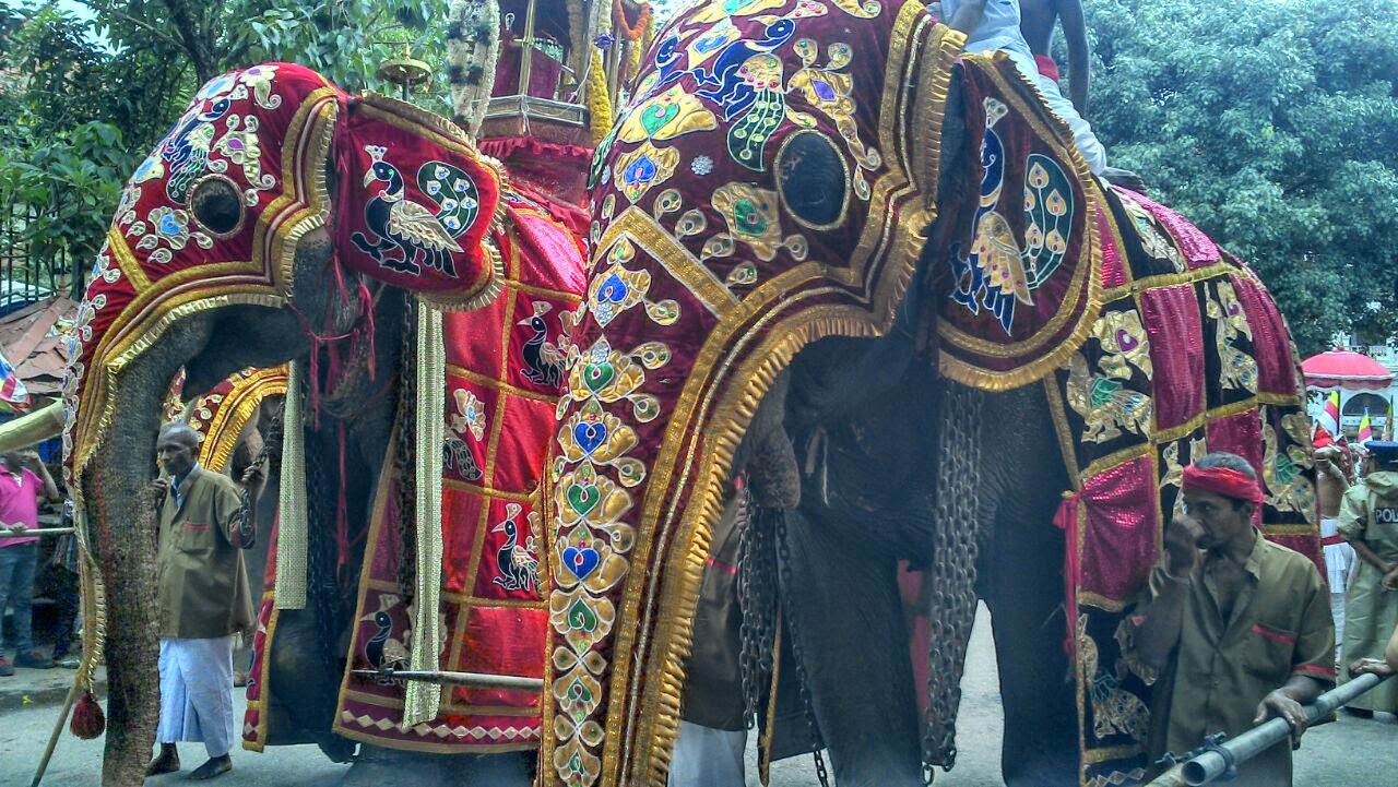 A Glimpse of Festival-ing Sri Lanka style at Kandy Esala Perahera 2014,photos by Emily Nash