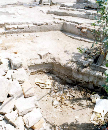 Quinta del Rincón del Prado - detalle de la piscina con escalones de ladrillo