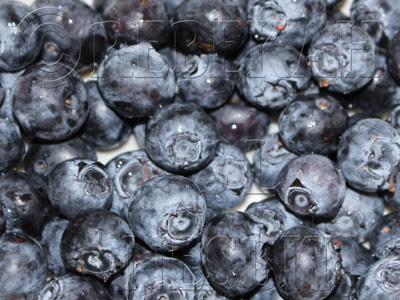 Blueberries Macro Photography