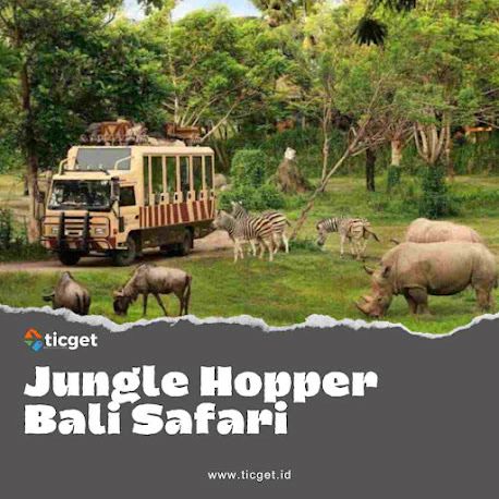 bali-wildlife-adventure-jungle-hopper-package