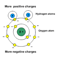 Polar molecules