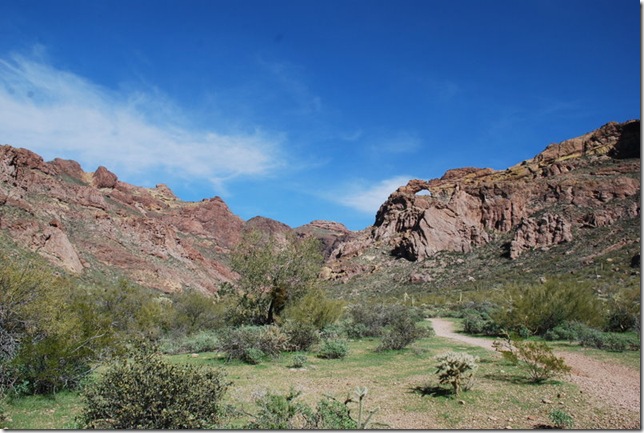 03-05-19 Ajo Mountain Loop - OPCNM 103