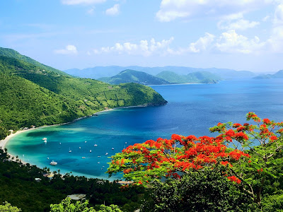 Isla bonita montañosa con plantas barcos y casas