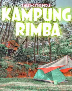 Area Sekitar Kampung Rimba Camp Bogor Jawa Barat