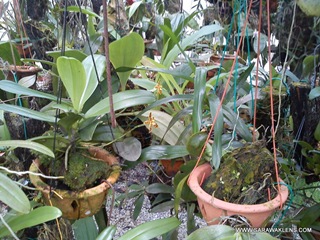 sony_ericsson_xperia_mini_pro_camera_samples_07