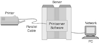 Network Ready Printer feature explained