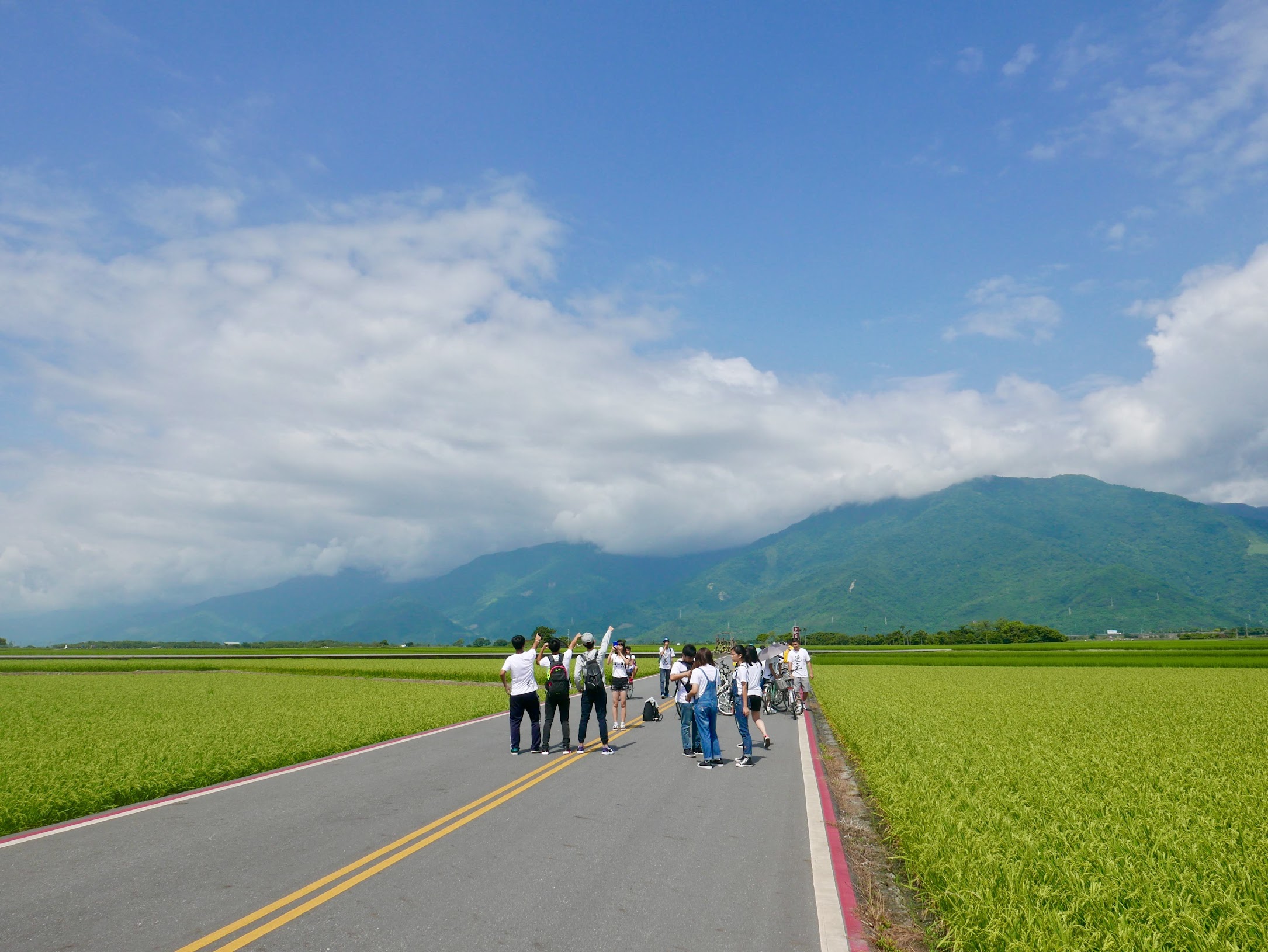 台東縣池上鄉 伯朗大道