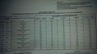 Peraturan Menteri PANRB Tentang Pengangangkatan PNS Melalui Inpassing 