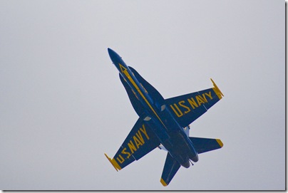 IMG_8448a