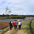 PEMKAB SAMOSIR BEKERJA SAMA DENGAN PT NIAGA GLOBAL MODREN KEMBANGKAN PERTANIAN DI KECAMATAN HARIAN