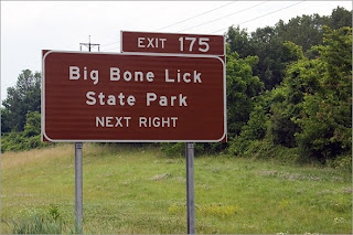 Funny signs