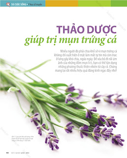 CHỮA MỤN THEO ĐÔNG Y