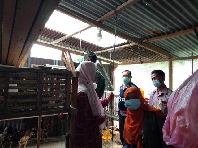 Tidak Hanya Untuk Infrastruktur Jalan, Dana Desa Manfaatkan Untuk Ternak Ayam Dimonitor Personel Jajaran Kodim 0207/Simalungun