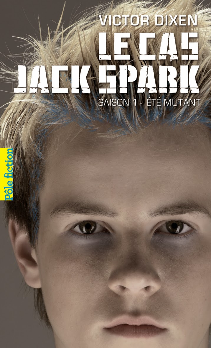 http://bouquinsenfolie.blogspot.fr/2011/11/chronique-le-cas-jack-spark-de-victor.html