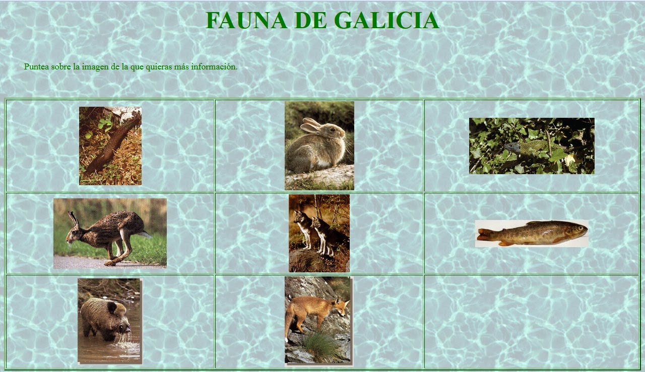 http://www.ehib.es/Nixportal/galicia/Faunaflora/fauna.htm