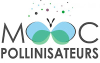 Logo MOOC Polinisateurs