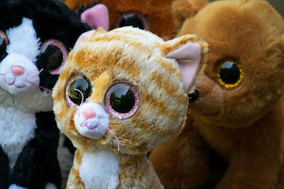 A collection of stuffed cats thrown during Kattenstoet